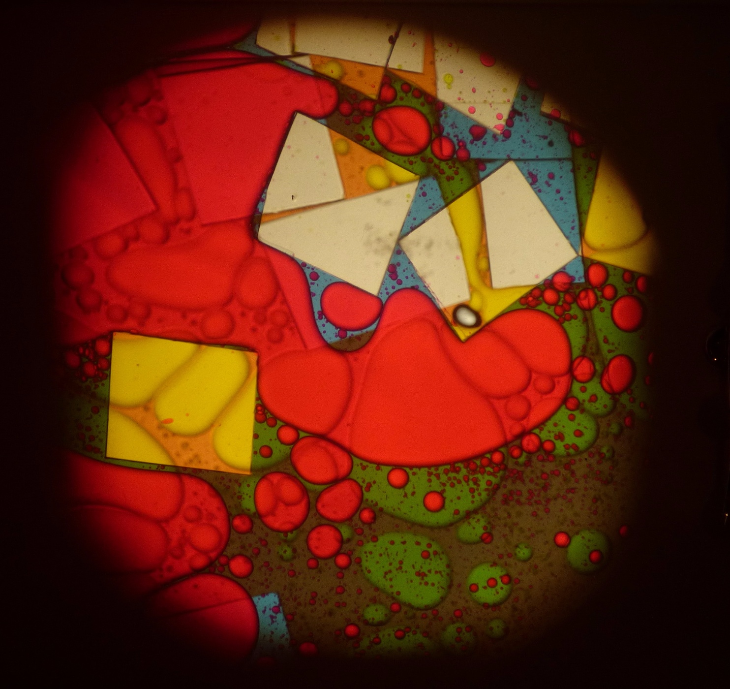 Contact BubbleVision